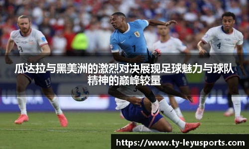 乐鱼体育app下载官网
